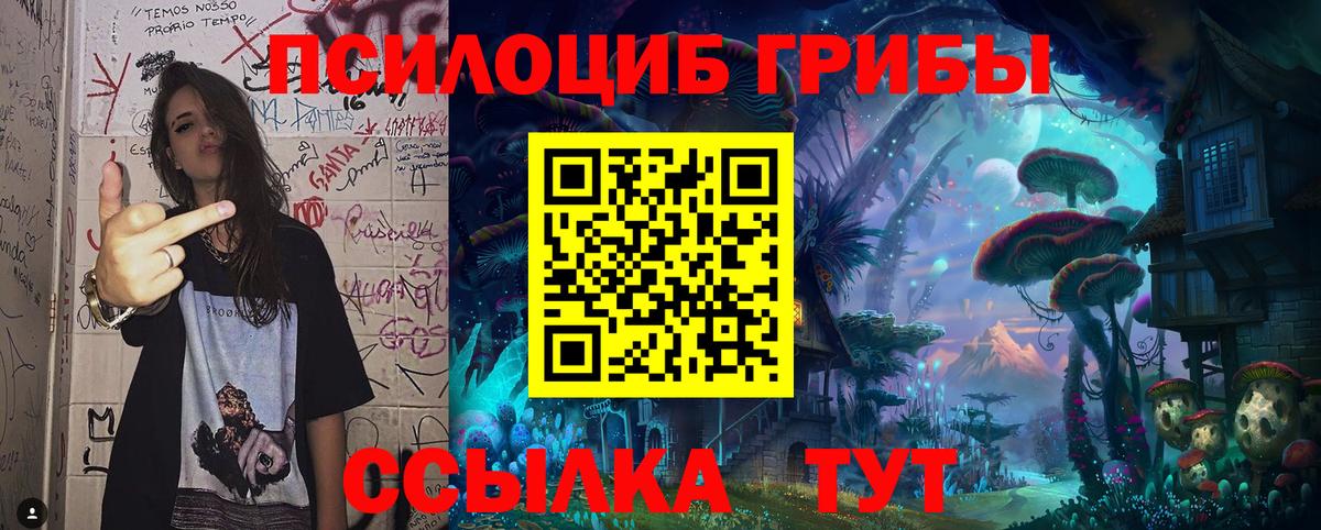 Кировск  где можно купить   Вход с VPN  Псилоцибиновые грибы MAGIC MUSHROOMS 