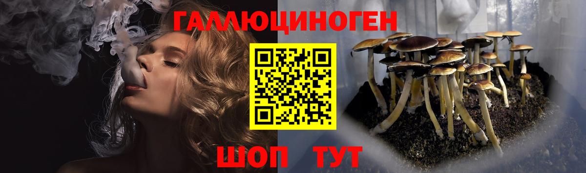 Галлюциногенные грибы Psilocybe Кировск
