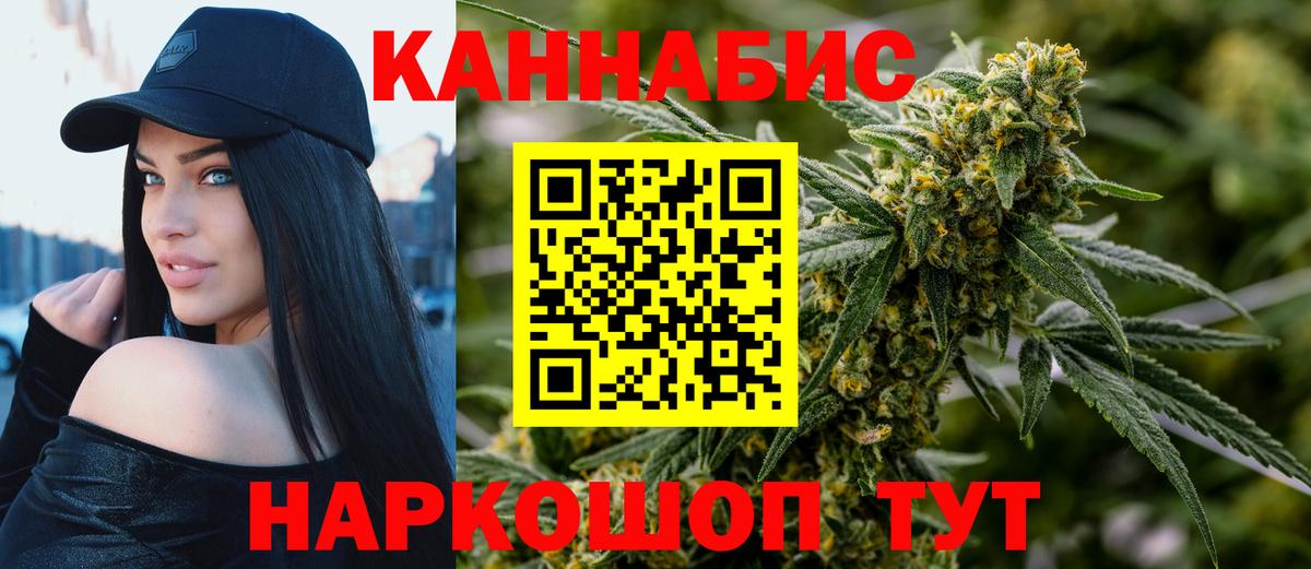 Марихуана сатива Кировск